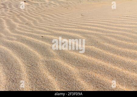 Schöne goldene Sandkräusel am Strand. Sanddüne. Muster auf goldenem Sand. Sandkräusel Hintergrund. Strandsand in Sardinien Italien aufgenommen. Stockfoto