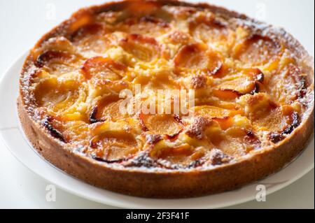 Frisch gebackene französische Torte mit reifen Pflaumen auf weißem Tisch Stockfoto