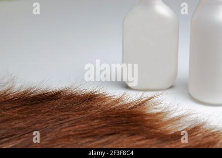 Die Spitzen von langen, dicken Haaren liegen vor weißem Hintergrund. Weiße Röhrchen und Gläser stehen auf einer hellen Oberfläche. Im Nahbereich. Haarpflege. Braune Haare. Oben Stockfoto