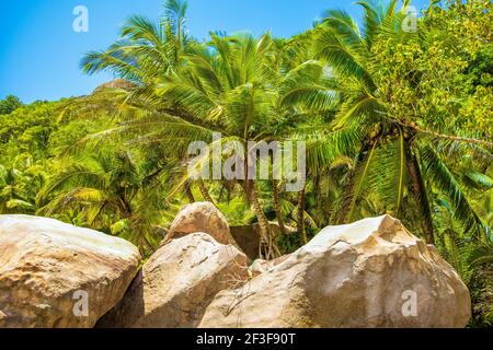 Die riesigen Granitfelsen an den Ufern des Indischen Ozeans, Seychellen Stockfoto