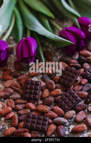 Auswahl an verschiedenen Schokoladensorten in Kakaobohnen, mit violetten Frühlingszartulips auf dem Hintergrund Stockfoto