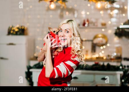 Portrait der blonden Frau trägt Weihnachten Santa hält chihuahua Hunde in Weihnachten Kostüm in der Küche mit Weihnachtsdekoration, lächelnd und suchen Stockfoto
