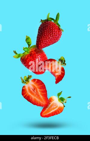 Leckere reife rote Erdbeeren und Erdbeerstücke isoliert auf blauem Hintergrund. Erdbeerscheiben fliegen in der Luft. Speicherplatz kopieren Stockfoto
