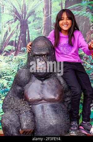 Junge englisch-thailändische Mädchen posiert für Fotos auf einer Gorilla-Statue Im Chester Zoo Stockfoto