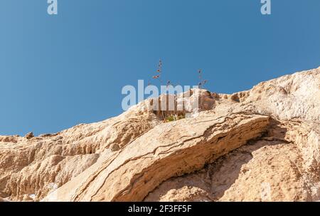 Las Salinas Geologische Landschaft in der Wüste Tabernas Almeria Spanien Natur Reisen Stockfoto