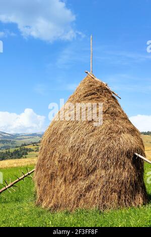 Heuhaufen in den Karpaten auf einer grünen Wiese vor der Kulisse von Berghügeln, vertikale Aufnahme. Stockfoto