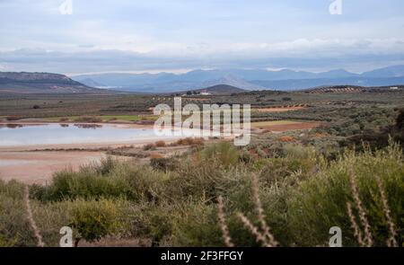 Laguna Fuente de Piedra Feuchtgebiet in der Provinz Málaga In Spanien Zugvögel Ruhestätte Stockfoto