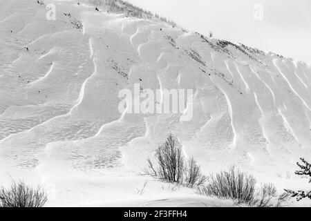 Schwarz-Weiß-Ansicht von Wind gemeißelten Mustern in Neuschnee; in der Nähe der Madonna Mine; Monarch Pass; Colorado; USA Stockfoto