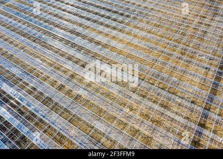 Bau von industriellen Gewächshäusern Luftbild. Den Planeten ernähren, Menschen ernähren. Stockfoto