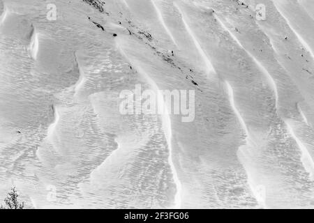 Schwarz-Weiß-Ansicht von Wind gemeißelten Mustern in Neuschnee; in der Nähe der Madonna Mine; Monarch Pass; Colorado; USA Stockfoto