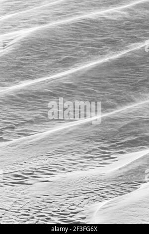 Schwarz-Weiß-Ansicht von Wind gemeißelten Mustern in Neuschnee; in der Nähe der Madonna Mine; Monarch Pass; Colorado; USA Stockfoto