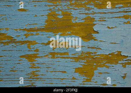Abstrakte Holzstruktur mit Senf-Peeling und hellblauer Malerei. Hochwertige Fotos Stockfoto