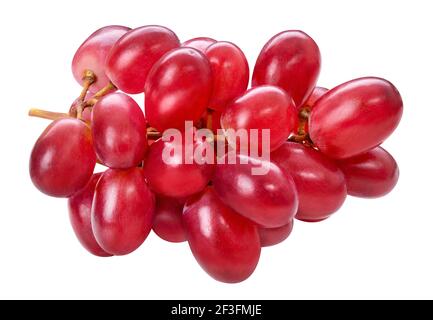Rote reife Traube Cluster isoliert auf weißem Hintergrund. Lila frische Traube Bündel, Herbst Zusammensetzung. Makro, Studioaufnahme, Vorderansicht. Stockfoto