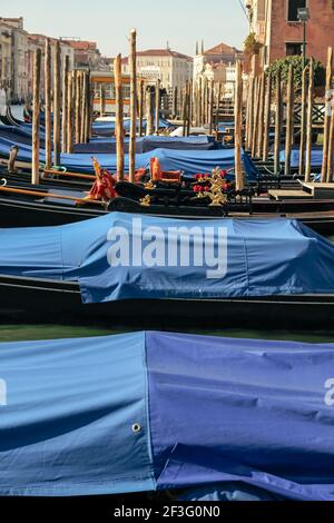 Gondeln auf dem Canal Grande in der Nähe der Rialtobrücke in Venedig, Italien. Stockfoto