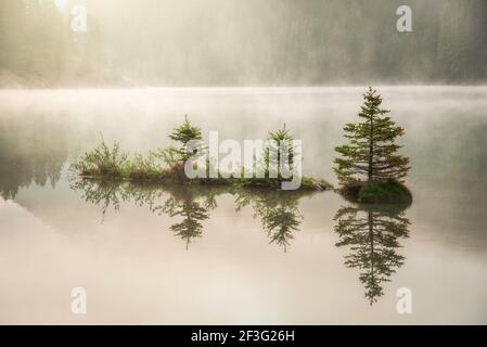 Eine kleine Insel aus winzigen Kiefern spiegelt sich auf dem Two Jack Lake im Banff National Park, während die Morgensonne durch Nebel und Nebel goldene Farben erstrahlt. Stockfoto