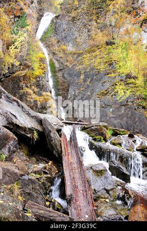 Ein stürmischer Gebirgsbach, der von einem hohen Hügel herunterstürzt, sich um Steinbrocken und gefällte Bäume beugt. Wasserfall auf dem Oberen Karasu Fluss, Altai, Stockfoto