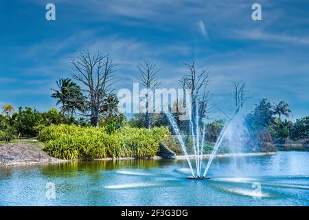 Ein See mit Springbrunnen am Miami-Dade County Redland Fruit and Spice Park in Florida. Stockfoto