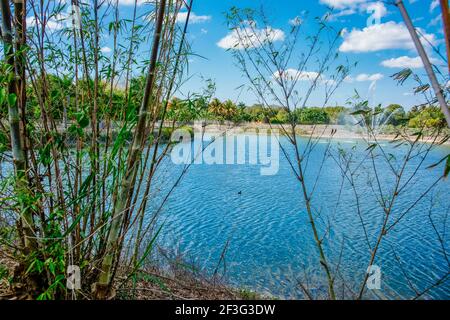 Ein See mit Springbrunnen am Miami-Dade County Redland Fruit and Spice Park in Florida. Stockfoto