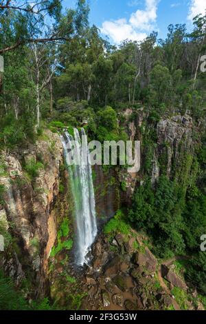 Vertikaler Blick auf die beliebten Queen Mary Falls, Main Range National Park, Killarney, Queensland, QLD, Australien Stockfoto