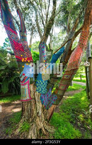 Patchwork gestricktes Häkeln auf einem Baumstamm außerhalb Mary Falls Caravan Park, Main Range National Park, Killarney, Queensland, QLD, Australien Stockfoto