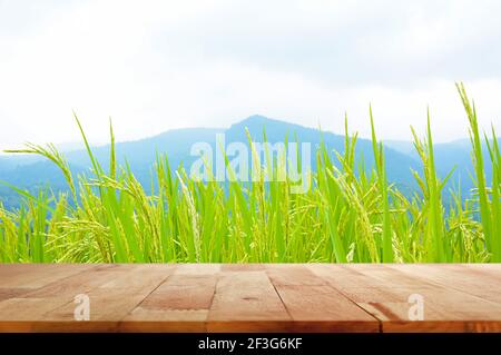 Holztischplatte auf grünem Reisfeld und Berg Hintergrund Stockfoto