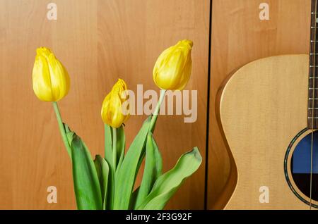 Blumenstrauß und eine akustische Gitarre auf braunem Hintergrund. Drei gelbe Tulpen aufrecht. Verblassende Popularität, vergessener Ruhm Konzept. Stockfoto