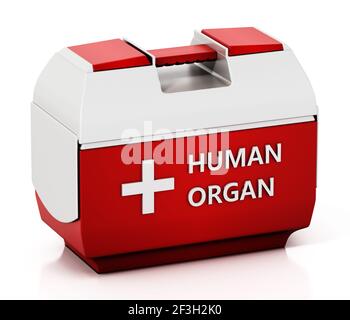 Transportbox für menschliche Organe auf weißem Hintergrund isoliert. 3D Abbildung. Stockfoto