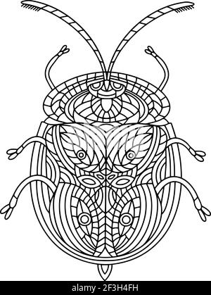 Beetle Schildkröte Bild ausmalen. Tortuga-Käfer Stock Vektor