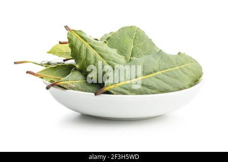 Frische grüne Lorbeerblätter in Schale isoliert auf weißem Hintergrund. Stockfoto