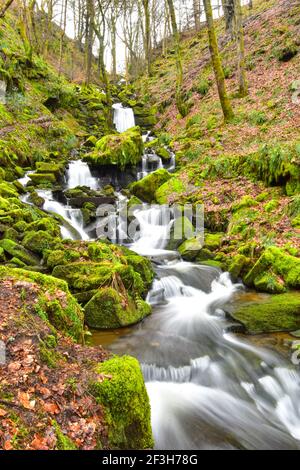 Wasserfall, Hardcastle Crags, National Trust, Hebden Bridge, West Yorkshire Stockfoto