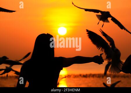 Silhouette eines Mädchens, das Vögel an der Küste füttert Dämmerung Sonnenuntergang Hintergrund Stockfoto