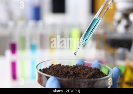 Flüssigkeit wird von der Glaspipette in den Kolben mit Erde abgeworfen Stockfoto