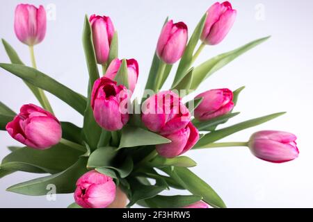Ein Blumenstrauß von Frühlingsblumen, wo die Knospen Ragen Sie in verschiedene Richtungen heraus Stockfoto