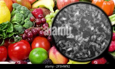 Suche nach Bakterien in Gemüse Stockfoto