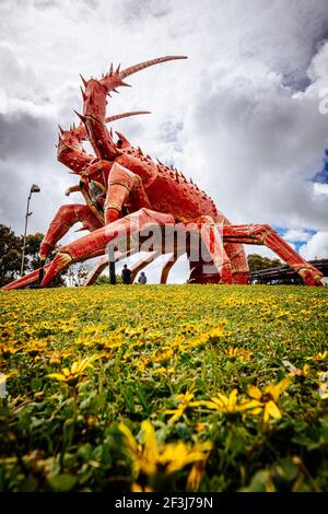 The Big Lobster Attraction in Kingston SE, South Australia Stockfoto