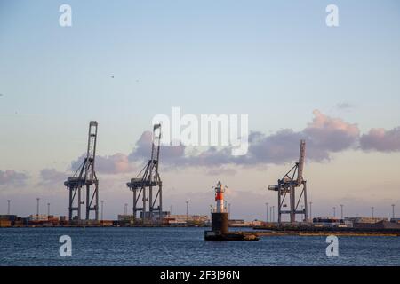 Krane am Container Terminal in Aarhus, Dänemark Stockfoto