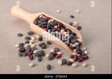 Pile Kidney Bohnen mischen drei Farben: Weiß, rot, schwarz. Holzlöffel mit Bohnen von drei Farben Stockfoto