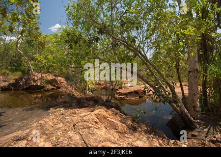 Buley Rockholes im Litchfield National Park im Northern Territory in Australien Stockfoto