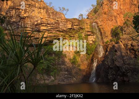 Tjaynera Falls im Litchfield National Park im Northern Territory in Australien Stockfoto