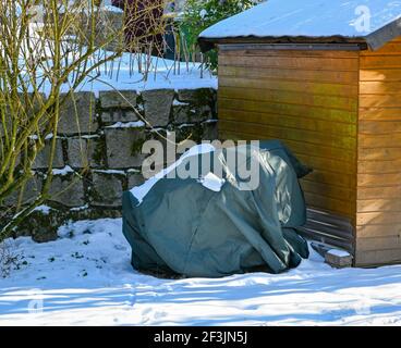 Strauch ist in Vlies für den Winter gegen Frost gewickelt. Baden Baden, Baden Württemberg, Deutschland, Europa Stockfoto