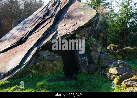 Cavan Burren Park, Geopark, Blacklion, Irland, Stockfoto