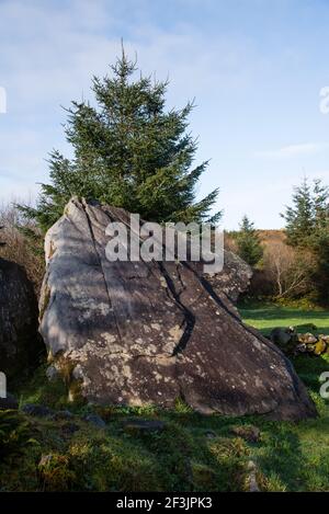 Cavan Burren Park, Geopark, Blacklion, Irland, Stockfoto