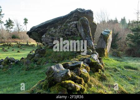 Cavan Burren Park, Geopark, Blacklion, Irland, Stockfoto