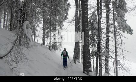 Garmisch Partenkirchen, Deutschland. März 2021, 17th. Ein Skitourengeher steigt durch viel Neuschnee den Berg hinauf. In den letzten Tagen haben die Alpen einen weiteren Wintereinbruch mit viel Neuschnee erlebt, weshalb die Lawinenwarnung Stufe 4 von 5 mittlerweile vielerorts in Kraft ist. Quelle: Angelika Warmuth/dpa/Alamy Live News Stockfoto