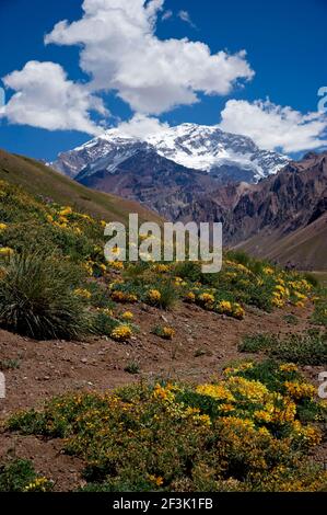 Aconcagua Nationalpark, Provinz Mendoza, Argentinien Stockfoto