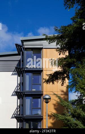 Birks Hall, University of Exeter, Exeter. Willmore Iles Architects haben eine große Entwicklung der Studentenunterkünfte an der University of Ex abgeschlossen Stockfoto