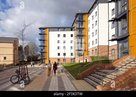 Birks Hall, University of Exeter, Exeter. Willmore Iles Architects haben eine große Entwicklung der Studentenunterkünfte an der University of Ex abgeschlossen Stockfoto