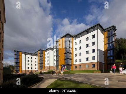 Birks Hall, University of Exeter, Exeter. Willmore Iles Architects haben eine große Entwicklung der Studentenunterkünfte an der University of Ex abgeschlossen Stockfoto