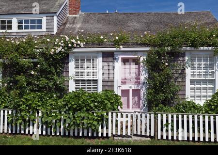 Eine rose Schindeln gedeckten Hütte in Siasconset Dorf Nantucket Island Massachusetts New England USA Stockfoto