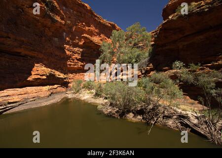 Garten Eden im Kings Canyon National Park im Norden Gebiet in Australien Stockfoto